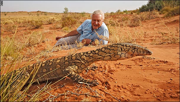 Human Ambassador to the natural world...David Attenborough