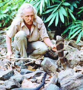 whitaker-and-king-cobra The King (Cobra) and I