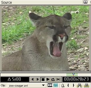 video clip video clip