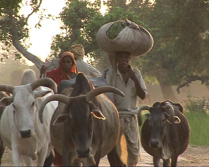 LL - Indo-Gangetic River Basin