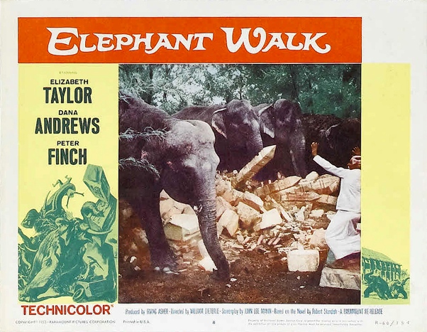 Poster - Elephant Walk_21