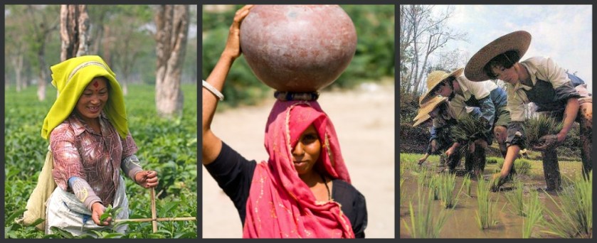 Unsolved problems for innovators Tea plucking, water fetching and rice transplanting -- three tasks that millions of women do manually everyday...