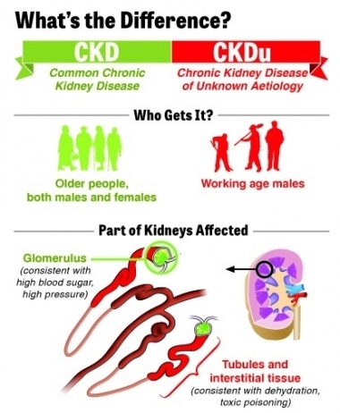 CKDu infographic courtesy Center for Public Integrity, USA