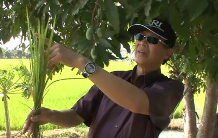 Dr K L Heong: Beware of South-South dumping of hazardous pesticides!