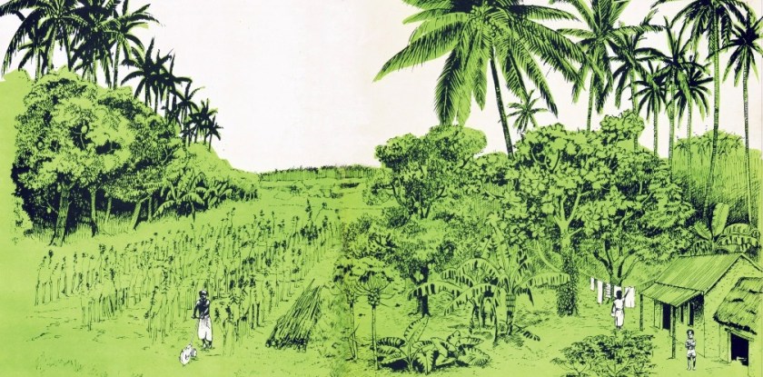 Image from the cover of Conservation Farming book by Ray Wijewardene