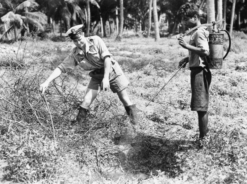 The Royal Naval School of Malaria and Hygiene Control - War-time spraying of DDT near Colombo, Ceylon, December 1944 – Image Imperial War Museum, UK © IWM (A 28178)